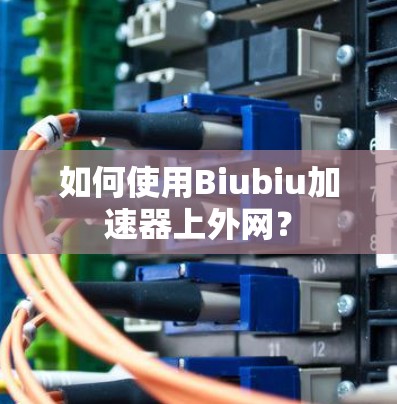 如何使用Biubiu加速器上外网？