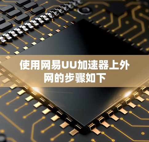 使用网易UU加速器上外网的步骤如下