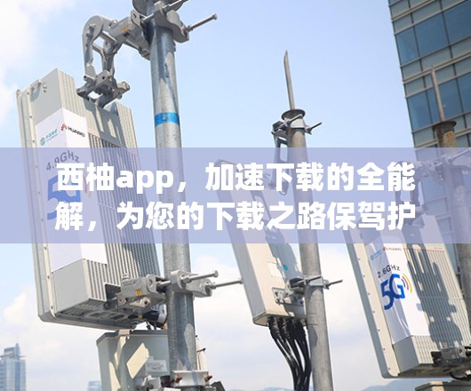 西柚app，加速下载的全能解，为您的下载之路保驾护航