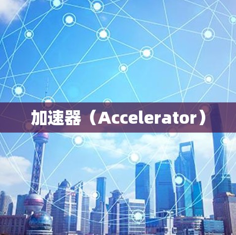 加速器（Accelerator）