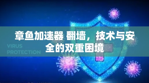 章鱼加速器 翻墙，技术与安全的双重困境