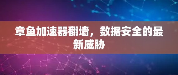 章鱼加速器翻墙，数据安全的最新威胁