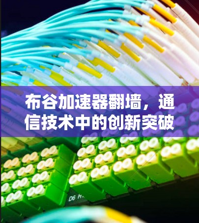 布谷加速器翻墙，通信技术中的创新突破与未来展望
