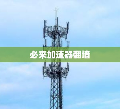 必来加速器翻墙
