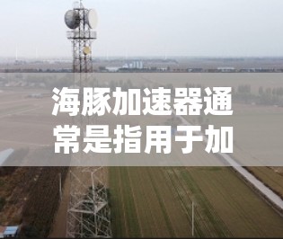 海豚加速器通常是指用于加速网页访问或移动应用的网络加速器。翻墙通常是将其配置为通过某种方式移动或转换到另一端的网络。以下是一些可能的解决方案，具体取决于海豚加速器的功能和格式