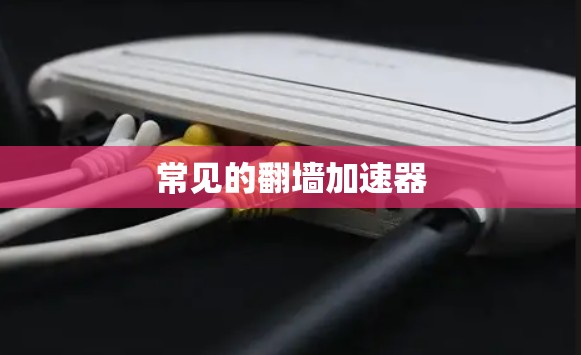 常见的翻墙加速器