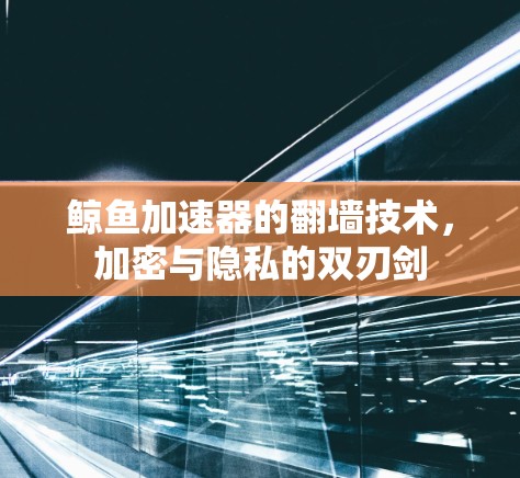 鲸鱼加速器的翻墙技术，加密与隐私的双刃剑