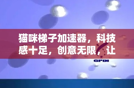 猫咪梯子加速器，科技感十足，创意无限，让猫咪成为你的宠物助手！