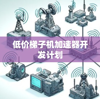 低价梯子机加速器开发计划