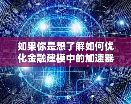 如果你是想了解如何优化金融建模中的加速器，或者在VUDF（Vienna UFD）的加速器项目中应用加速技术，可以提供具体的背景信息或问题，我可以帮助你进一步探讨