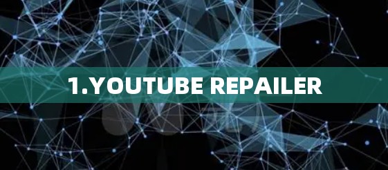 1.YOUTUBE REPAILER
