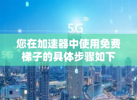 您在加速器中使用免费梯子的具体步骤如下