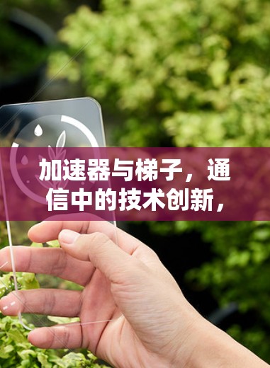 加速器与梯子，通信中的技术创新，唯有突破才能共存