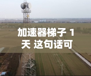 加速器梯子 1 天 这句话可能有几种解释，取决于上下文。以下是一些可能的解释
