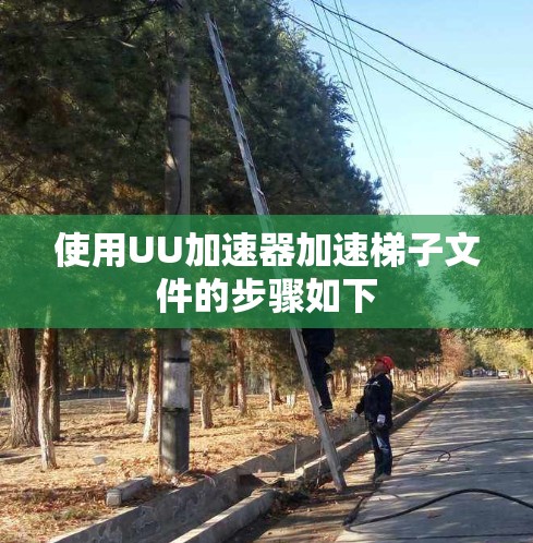使用UU加速器加速梯子文件的步骤如下