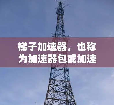 梯子加速器，也称为加速器包或加速器工具，广泛应用于多个领域，包括深度学习、科学计算和图像处理等领域。以下是对梯子加速器的详细分析和推荐