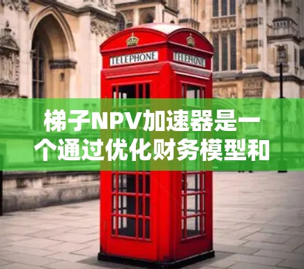 梯子NPV加速器是一个通过优化财务模型和采用技术突破来提高项目的净现值（NPV）的工具。以下是对梯子NPV加速器的详细说明