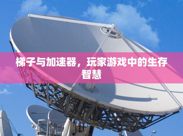 梯子与加速器，玩家游戏中的生存智慧