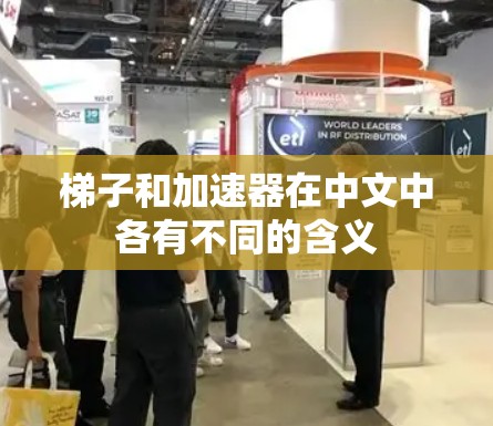 梯子和加速器在中文中各有不同的含义