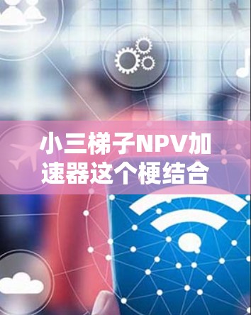 小三梯子NPV加速器这个梗结合了中文的小三梗和金融学中的NPV加速器概念，需要从多个角度进行分析