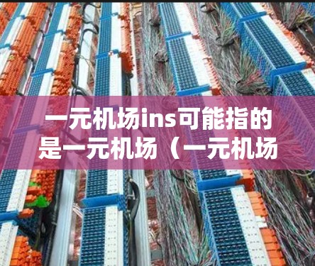 一元机场ins可能指的是一元机场（一元机场）以及ins（可能指inside或inside的意思，比如inside机场）这样的短语。以下是对一元机场ins的详细解释