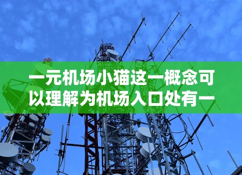 一元机场小猫这一概念可以理解为机场入口处有一个特别的设计，结合一元和小猫的元素。具体来说，可能是指