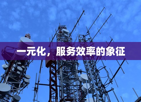一元化，服务效率的象征