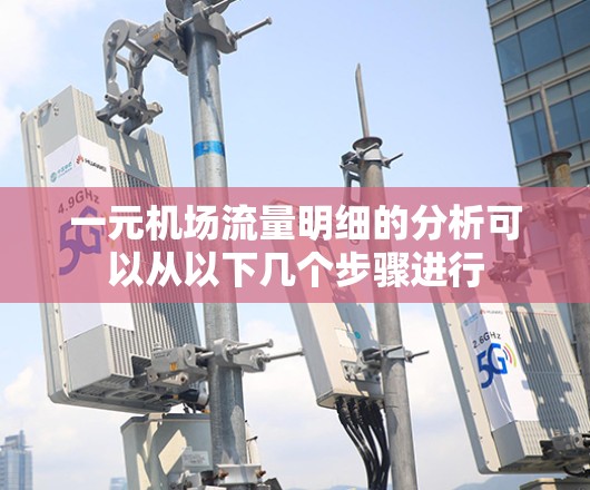 一元机场流量明细的分析可以从以下几个步骤进行