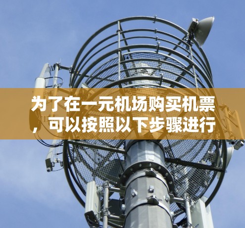 为了在一元机场购买机票，可以按照以下步骤进行