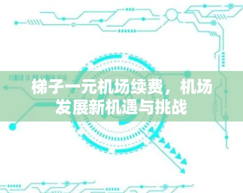 梯子一元机场续费，机场发展新机遇与挑战