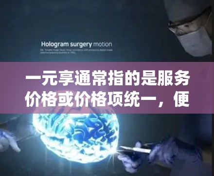 一元享通常指的是服务价格或价格项统一，便于消费者选择或比较。对于机场进站服务，可能指的是服务中的价格或流程的统一优化，以提高效率或降低成本