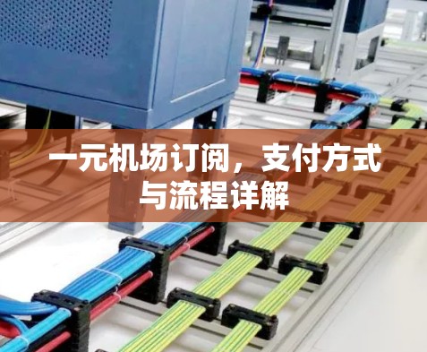 一元机场订阅，支付方式与流程详解