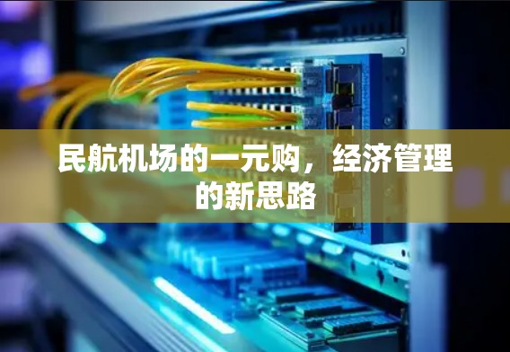 民航机场的一元购，经济管理的新思路