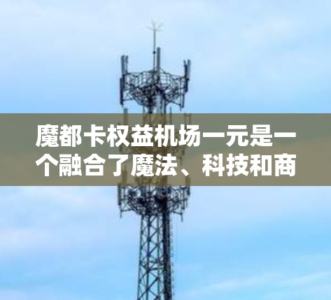 魔都卡权益机场一元是一个融合了魔法、科技和商业元素的城市项目，位于一个魔法森林的城市，作为魔都的机场，其设计和运营旨在吸引游客和商业活动。以下是关于该项目的详细分析