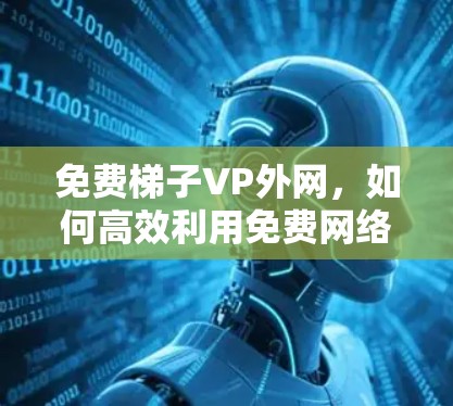 免费梯子VP外网，如何高效利用免费网络设备进行视频会议与远程访问
