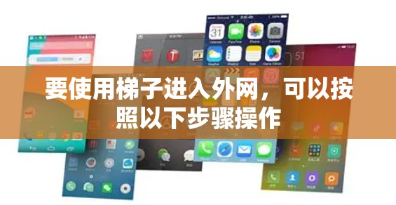 要使用梯子进入外网，可以按照以下步骤操作