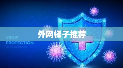 外网梯子推荐