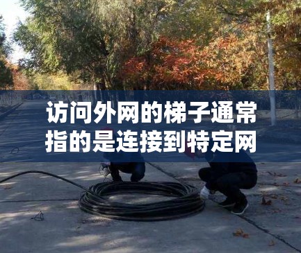 访问外网的梯子通常指的是连接到特定网络设备的物理路径，用于访问外界网络。以下是详细的解释