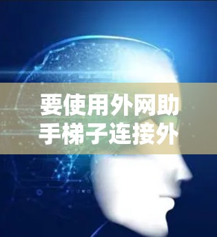 要使用外网助手梯子连接外网和内网，可以按照以下步骤操作