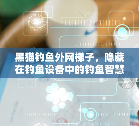 黑猫钓鱼外网梯子，隐藏在钓鱼设备中的钓鱼智慧