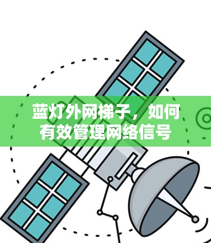蓝灯外网梯子，如何有效管理网络信号