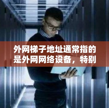 外网梯子地址通常指的是外网网络设备，特别是用于连接到一个特定局域网的网络设备。这些设备通常用于转换来自外部网络的网络地址到目标局域网的地址。以下是一些常见的外网梯子机型号及其典型地址范围