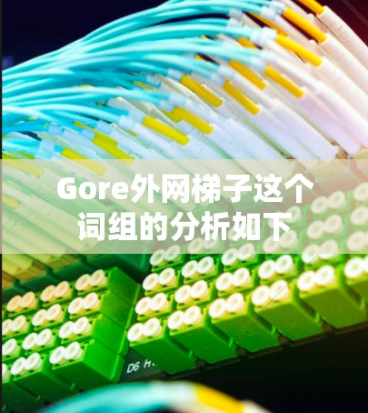 Gore外网梯子这个词组的分析如下