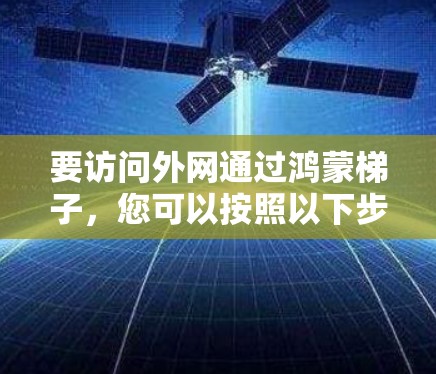 要访问外网通过鸿蒙梯子，您可以按照以下步骤操作