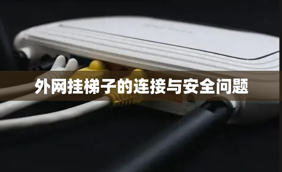外网挂梯子的连接与安全问题