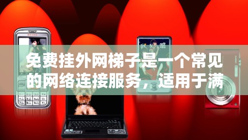 免费挂外网梯子是一个常见的网络连接服务，适用于满足基本连接需求的用户。以下是对这一服务的总结和建议