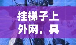 挂梯子上外网，具体含义可能取决于上下文，但通常在楼梯安装中，使用外网（即楼梯踏步的外侧部分）固定楼梯时，可能会使用网线或类似的材料。以下是一些常见的安装方法和注意事项