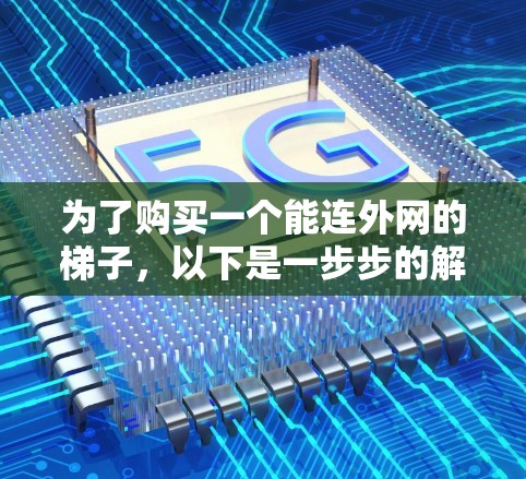 为了购买一个能连外网的梯子，以下是一步步的解决方案