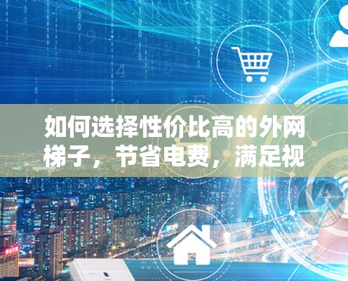 如何选择性价比高的外网梯子，节省电费，满足视频会议需求
