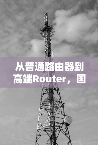 从普通路由器到高端Router，国内上外网的正确配置